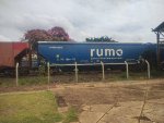 RUMO HTT-351908-2
